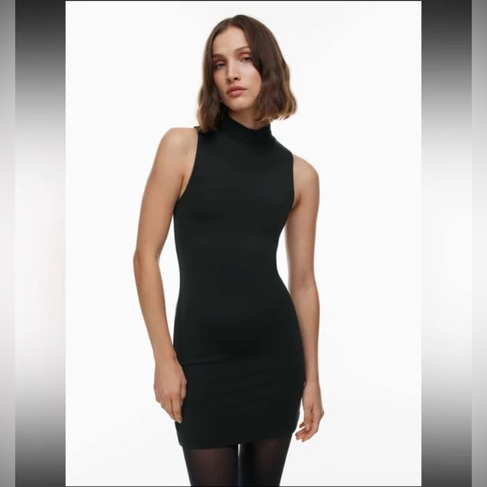 Aritzia mock neck contour dress (BABATON)